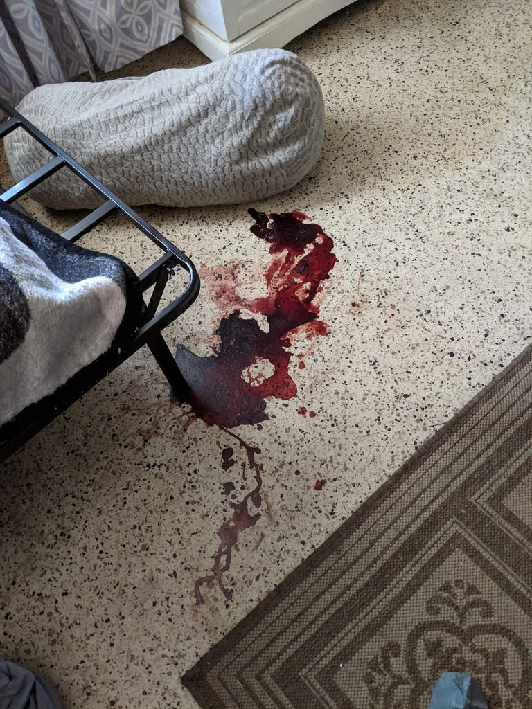 blood spill cleanup viriginia