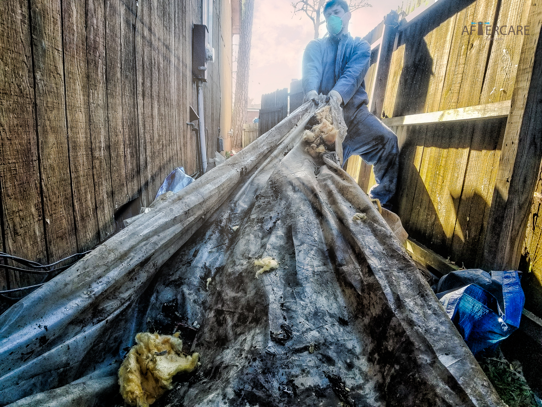 Crawl Animal Space Cleaning