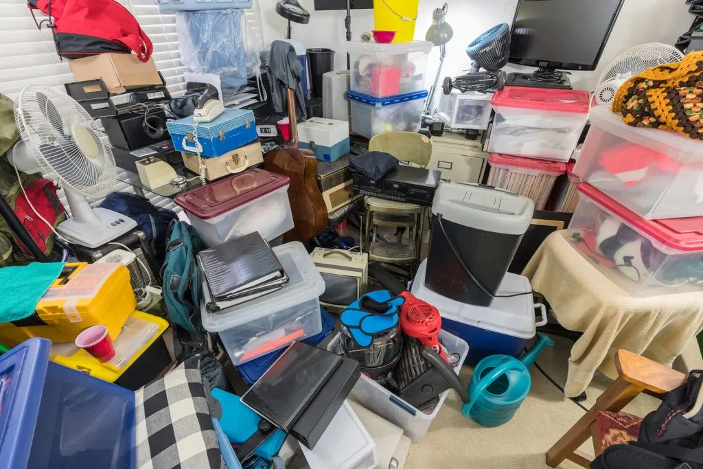 Hoarding Cleanup