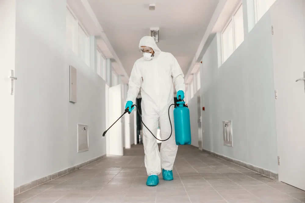 Disease disinfection virginia